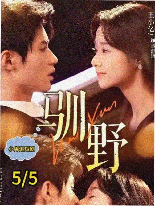 99影视网热播剧场八月的院子剧集海报
